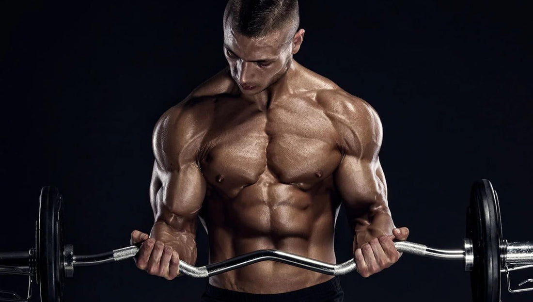 Best Supplements for Muscle Growth