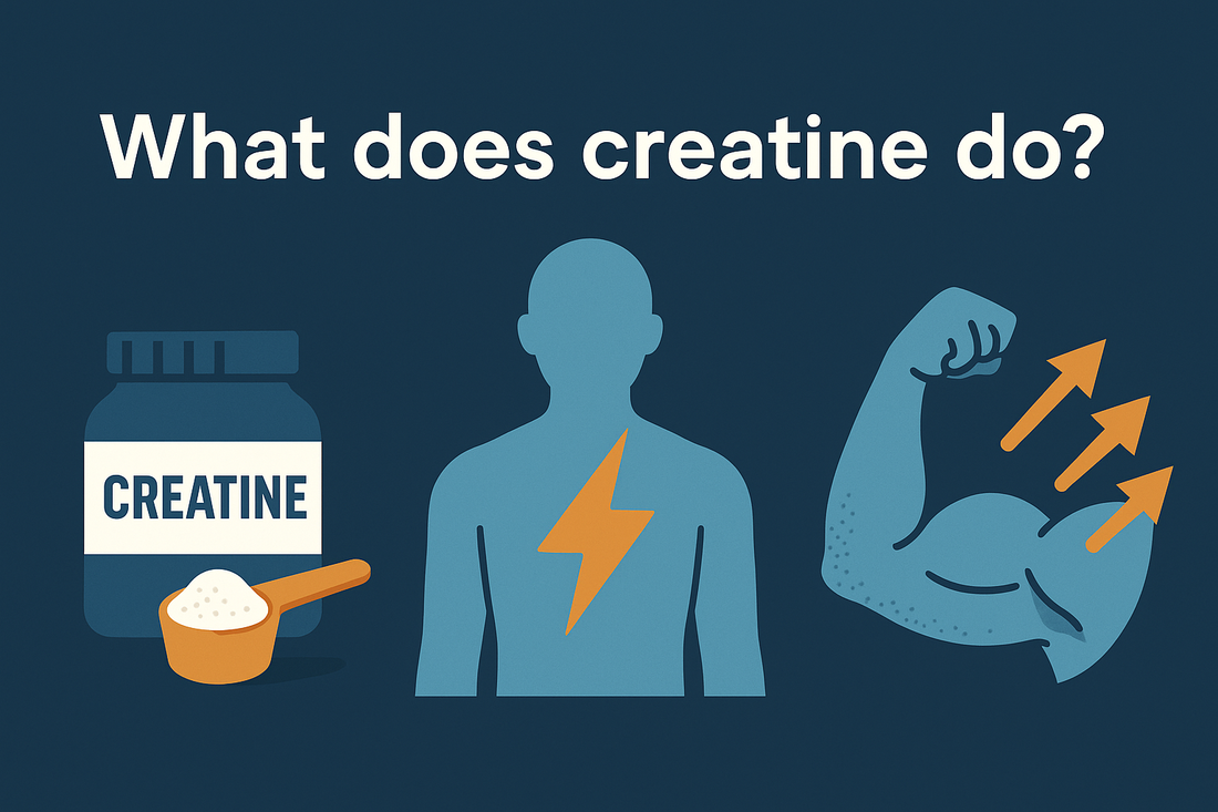 what does creatine do